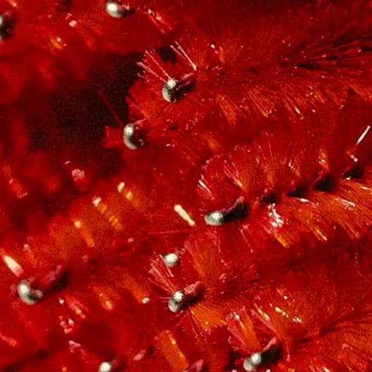 Brow Membership at Glow Girl Waxing Co in Warrenville, IL